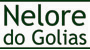 Cliente Geneplus