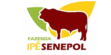 Cliente Geneplus