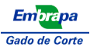 Cliente Geneplus